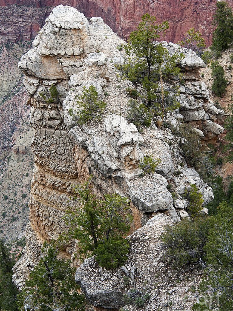 Grand Canyon Jigsaw Puzzle featuring the photograph Rock Formation at South Rim by Lee Craig