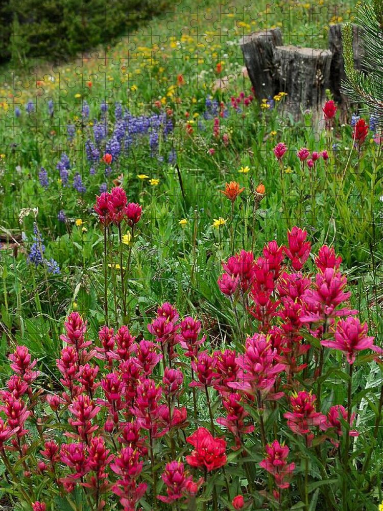Wildflower Jigsaw Puzzle featuring the photograph Rocky Mountain Wildflowers by Lynn Bauer
