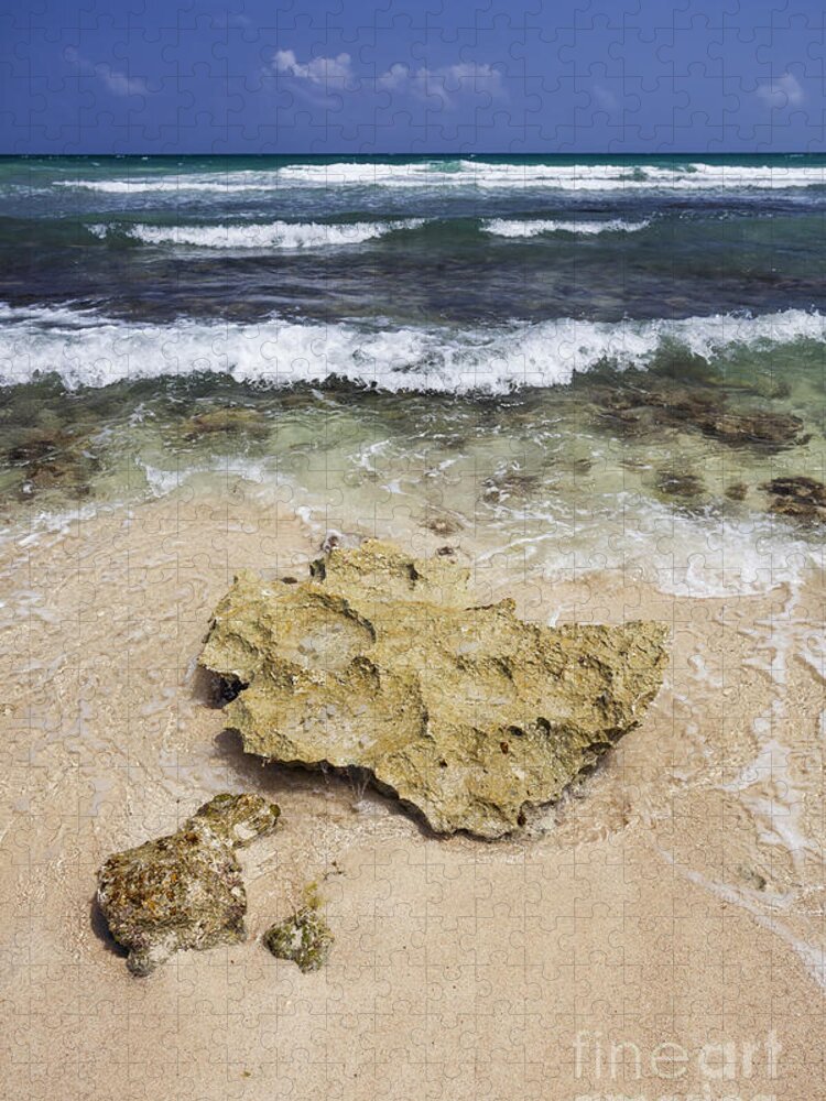 Mexico Jigsaw Puzzle featuring the photograph Rocky Shoreline in Tulum by Bryan Mullennix