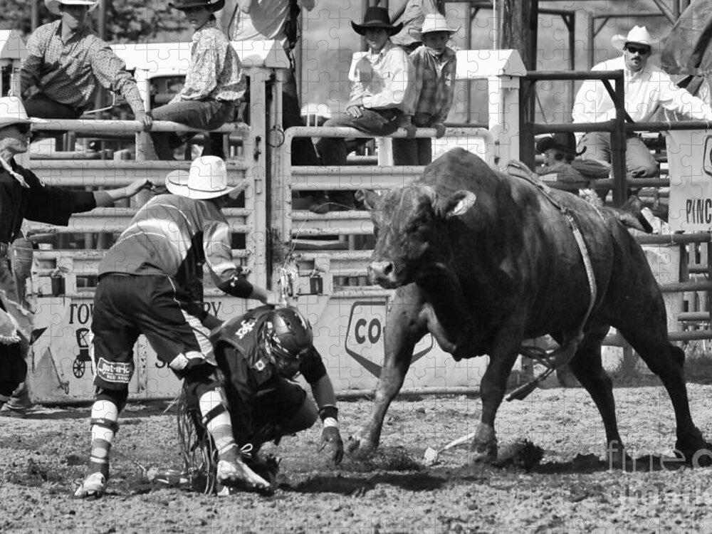 Bull Riding Jigsaw Puzzle featuring the photograph Rodeo Mexican Standoff by Bob Christopher
