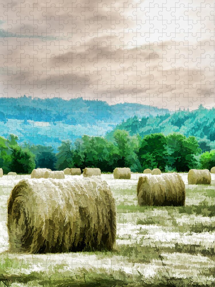 Rolled Jigsaw Puzzle featuring the photograph Rolled Bales by Mick Anderson