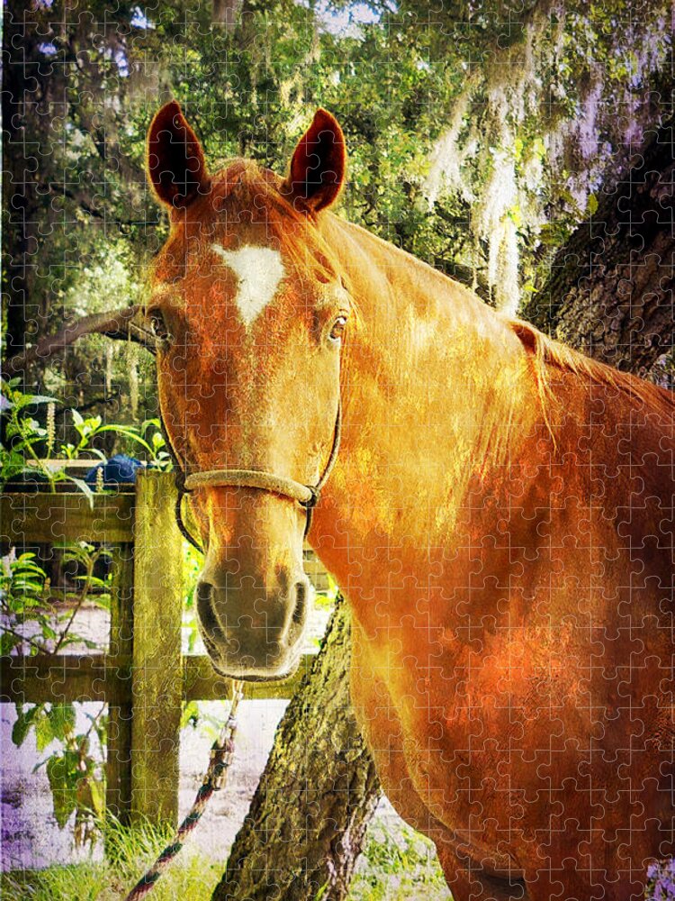 Horse Jigsaw Puzzle featuring the photograph Romeo by Judy Hall-Folde