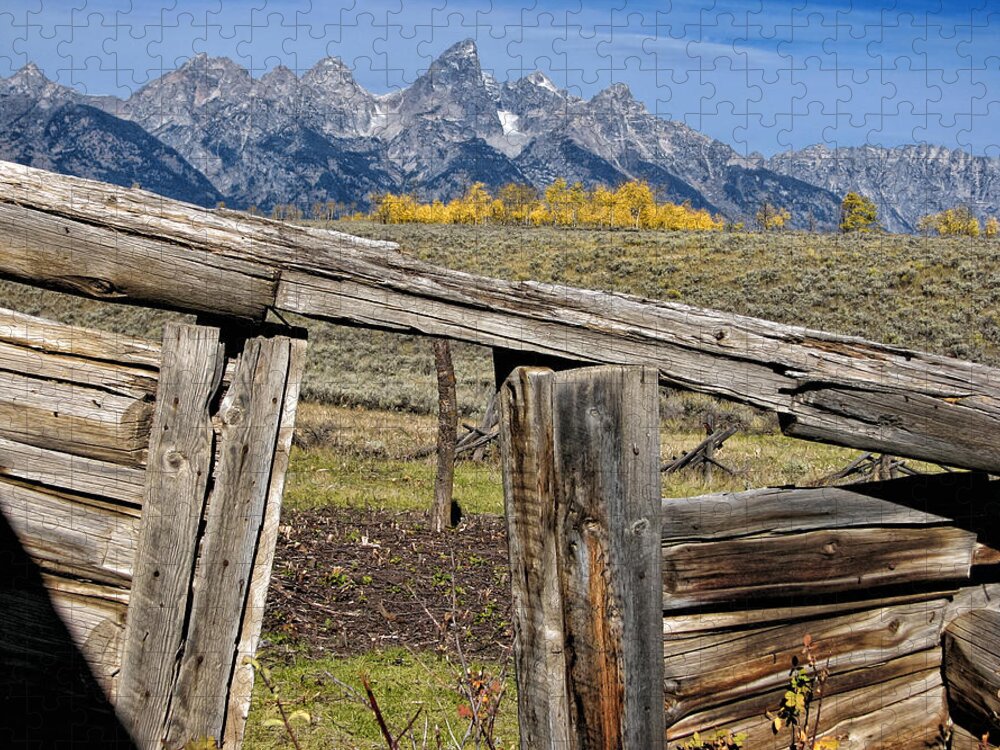 Grand Teton National Park Jigsaw Puzzle featuring the photograph Room with a View by Kathleen Bishop
