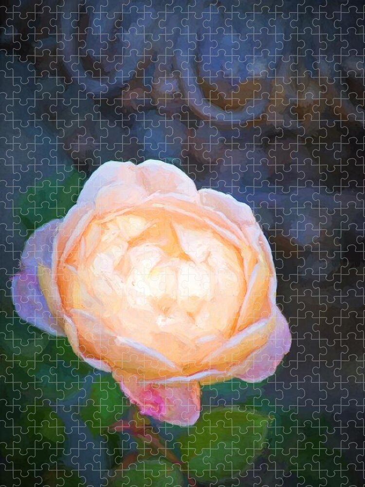 Floral Jigsaw Puzzle featuring the photograph Rose 325 by Pamela Cooper