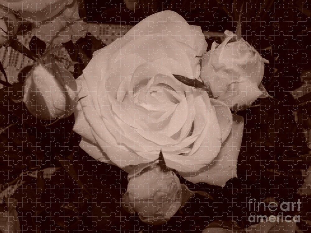 Sepia Jigsaw Puzzle featuring the photograph Rose by Tiziana Maniezzo