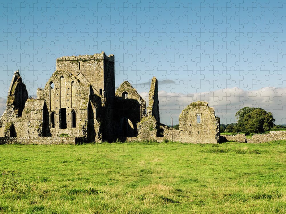 Ancient History Jigsaw Puzzle featuring the photograph Ruins Of Hore Abbey by Megan Ahrens