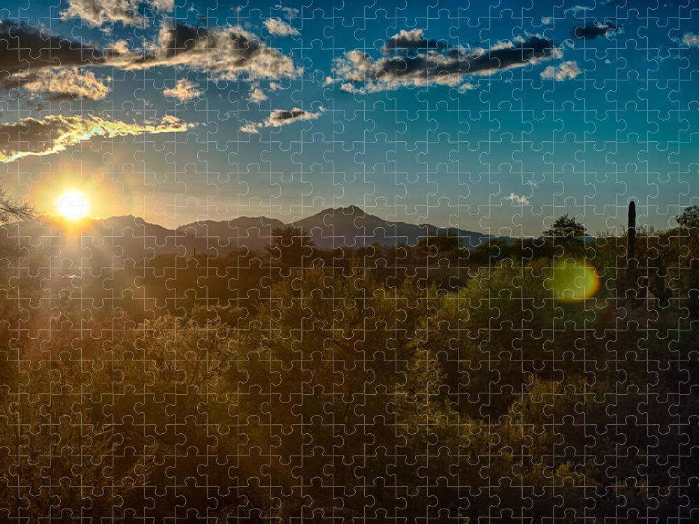 Tucson Jigsaw Puzzle featuring the photograph Saguaro National Park by Dan McManus