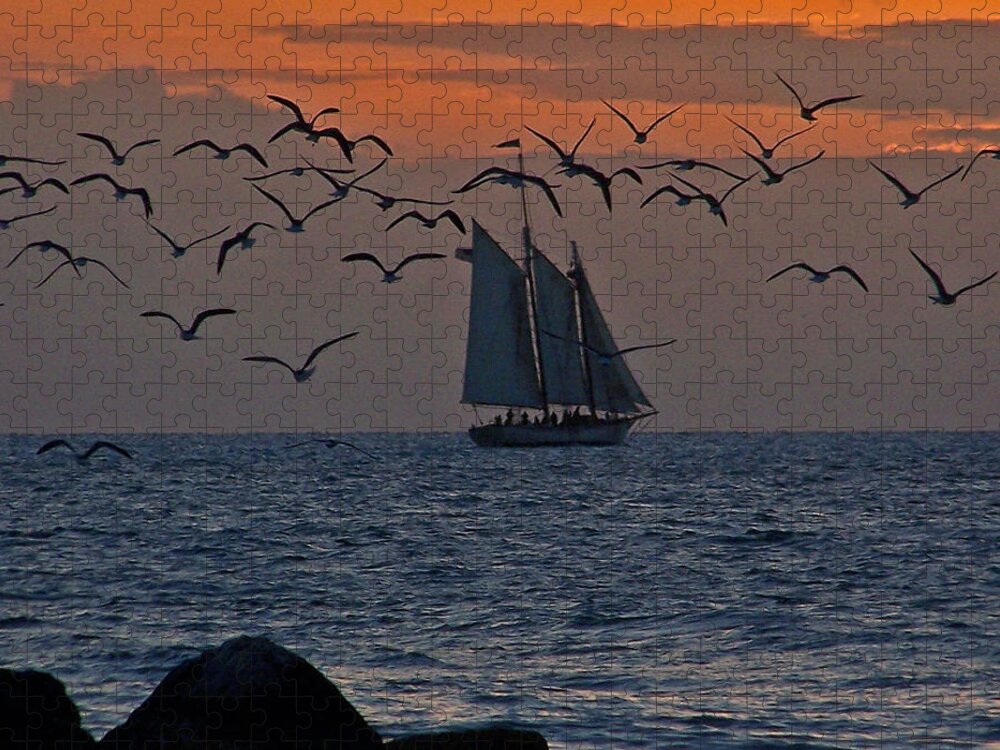 Birds Jigsaw Puzzle featuring the photograph Sailing by Jennifer Robin