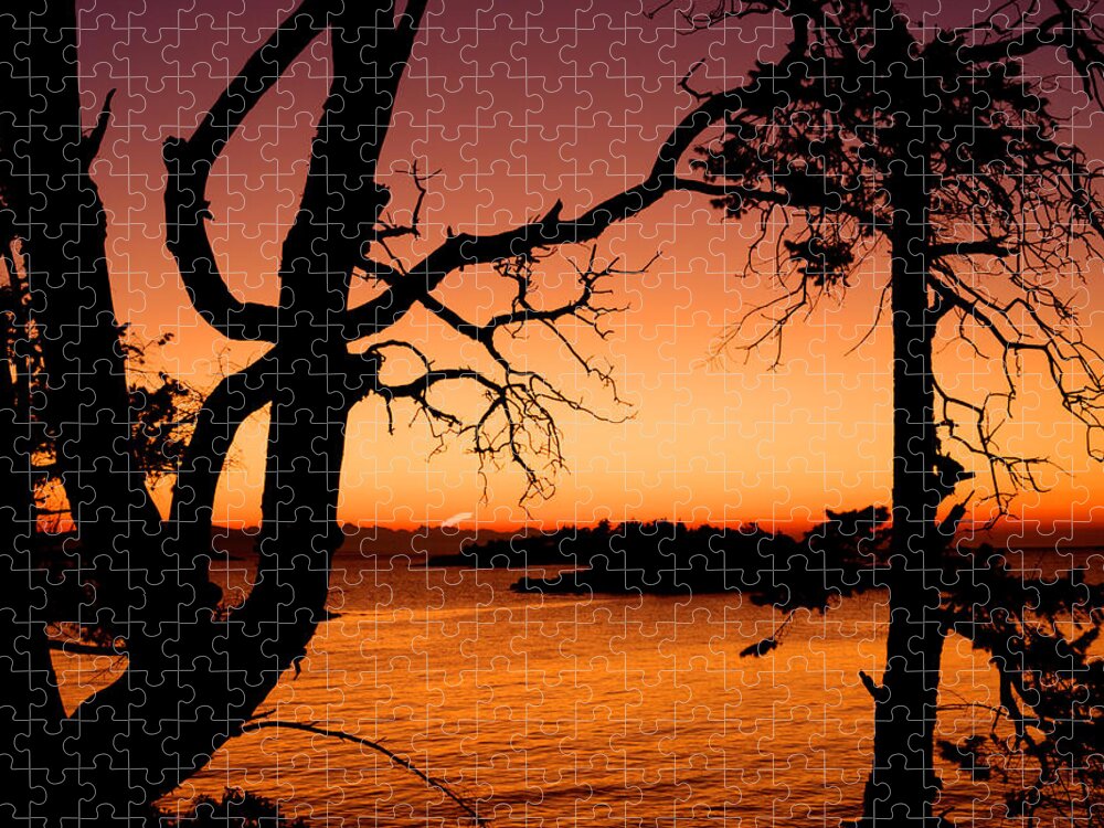 Sunrise Jigsaw Puzzle featuring the photograph Salish Sunrise II by Randy Hall