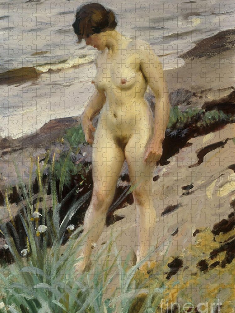 Sandhamn Jigsaw Puzzle featuring the painting Sandhamn Study by Anders Leonard Zorn