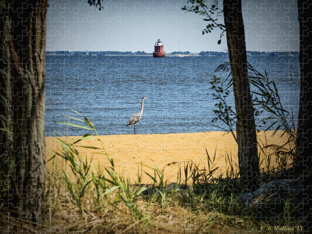 2d Jigsaw Puzzle featuring the photograph Sandy Pt Shoal Lighthouse and Blue Heron by Brian Wallace