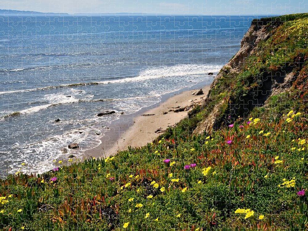 Santa Barbara Jigsaw Puzzle featuring the photograph Santa Barbara Beach Beauty by Lynn Bauer