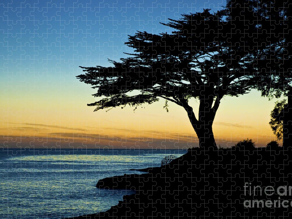 Santa Cruz Beach Jigsaw Puzzle featuring the photograph Santa Cruz California 3 by Micah May