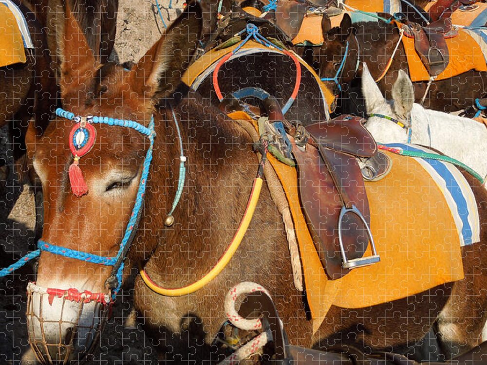 Colette Jigsaw Puzzle featuring the photograph Santorini Donkeys Ready for Work by Colette V Hera Guggenheim