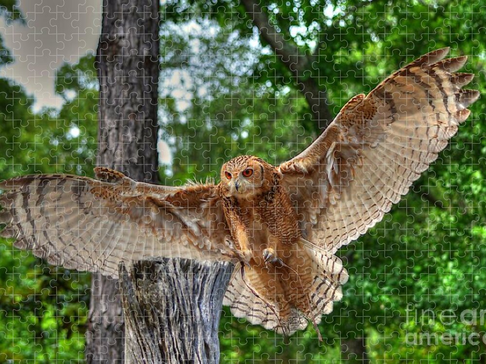 Owl Jigsaw Puzzle featuring the photograph Savigney's Eagle Owl Adult by Kathy Baccari