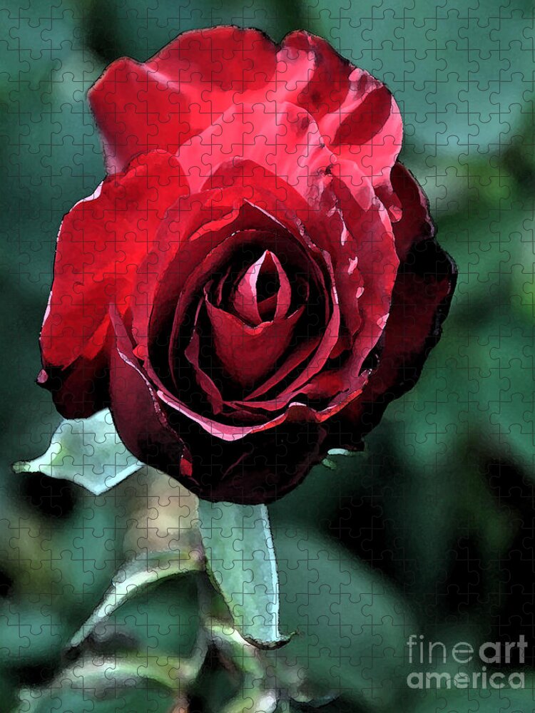 Rose Jigsaw Puzzle featuring the digital art Red Rose Bloom by Kirt Tisdale