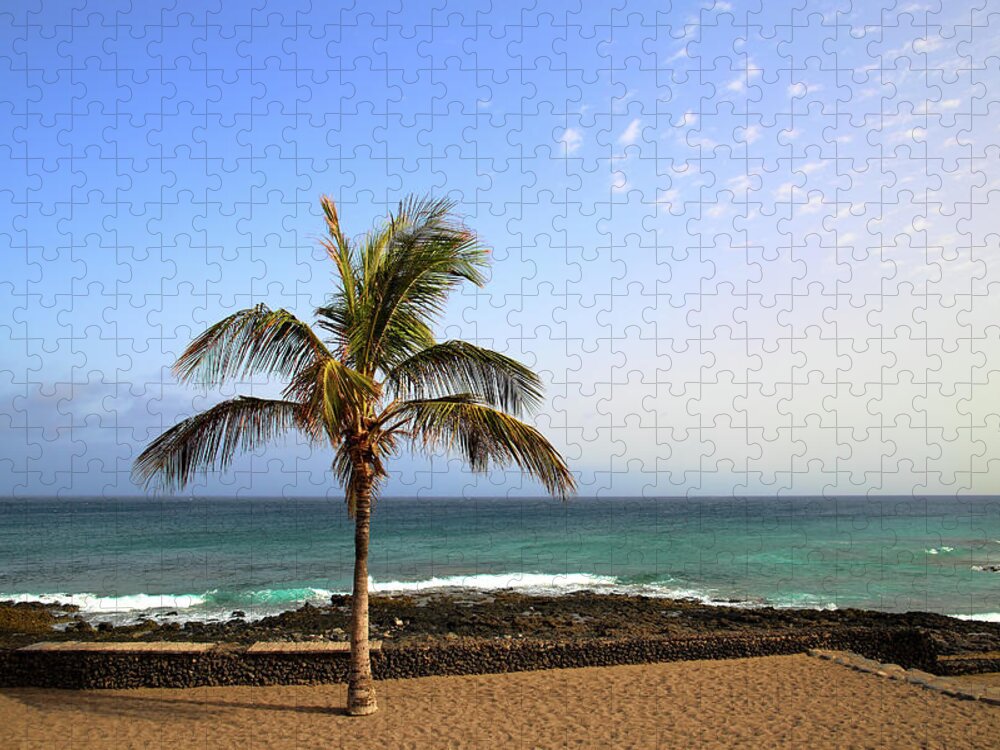 Tropical Tree Jigsaw Puzzle featuring the photograph Sea And Coconut Palm by Antagain