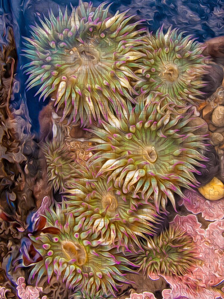 Sea Anemones Jigsaw Puzzle featuring the photograph Sea anemones by Kathleen Bishop