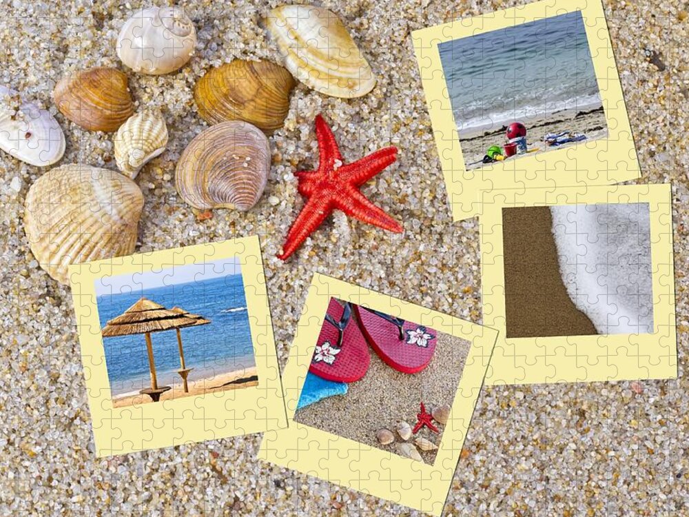 Seashell Jigsaw Puzzle featuring the photograph Sea shells by Paulo Goncalves