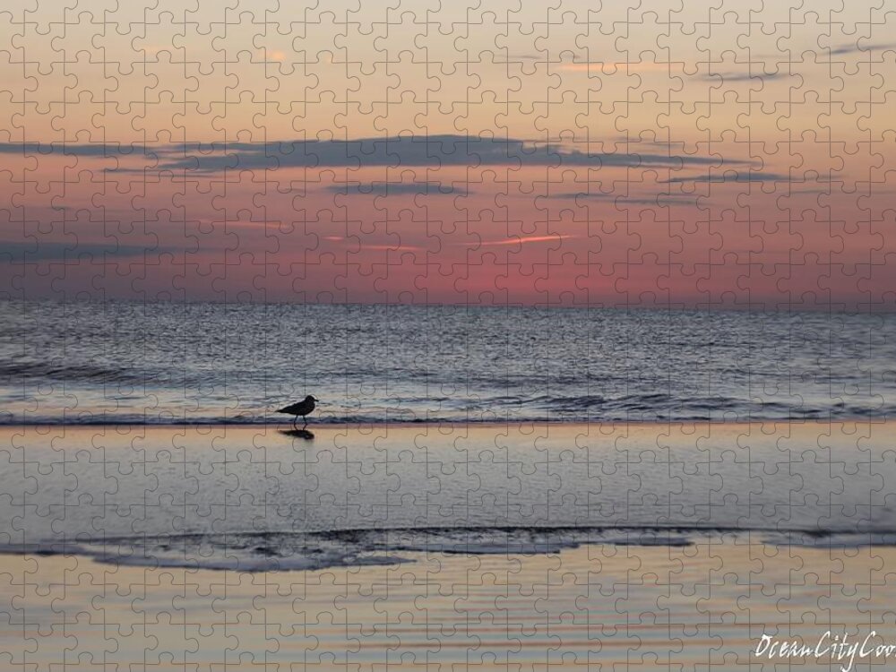 Animals Jigsaw Puzzle featuring the photograph Seagull Strolls The Seashore by Robert Banach