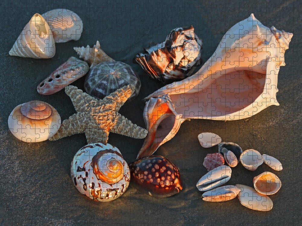 Sea Shells Jigsaw Puzzle featuring the photograph Seashells at Sunset II by Suzanne Gaff