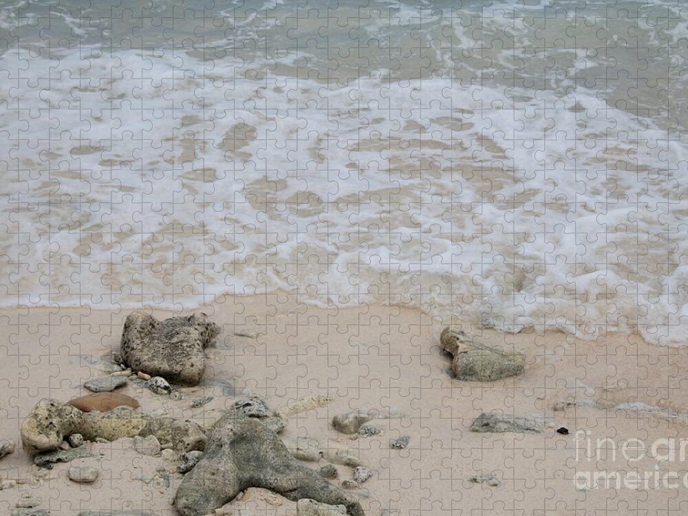 Seashore Jigsaw Puzzle featuring the photograph Seashore by Adriana Zoon
