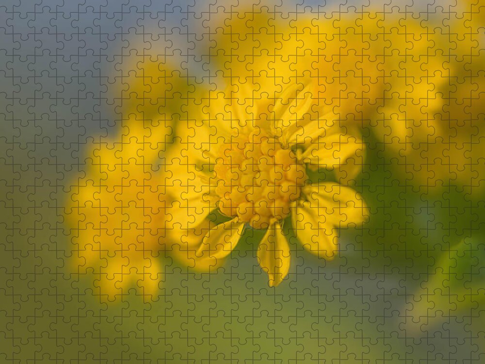 Goldenrod Jigsaw Puzzle featuring the photograph Seaside Goldenrod Florette by Beth Sawickie