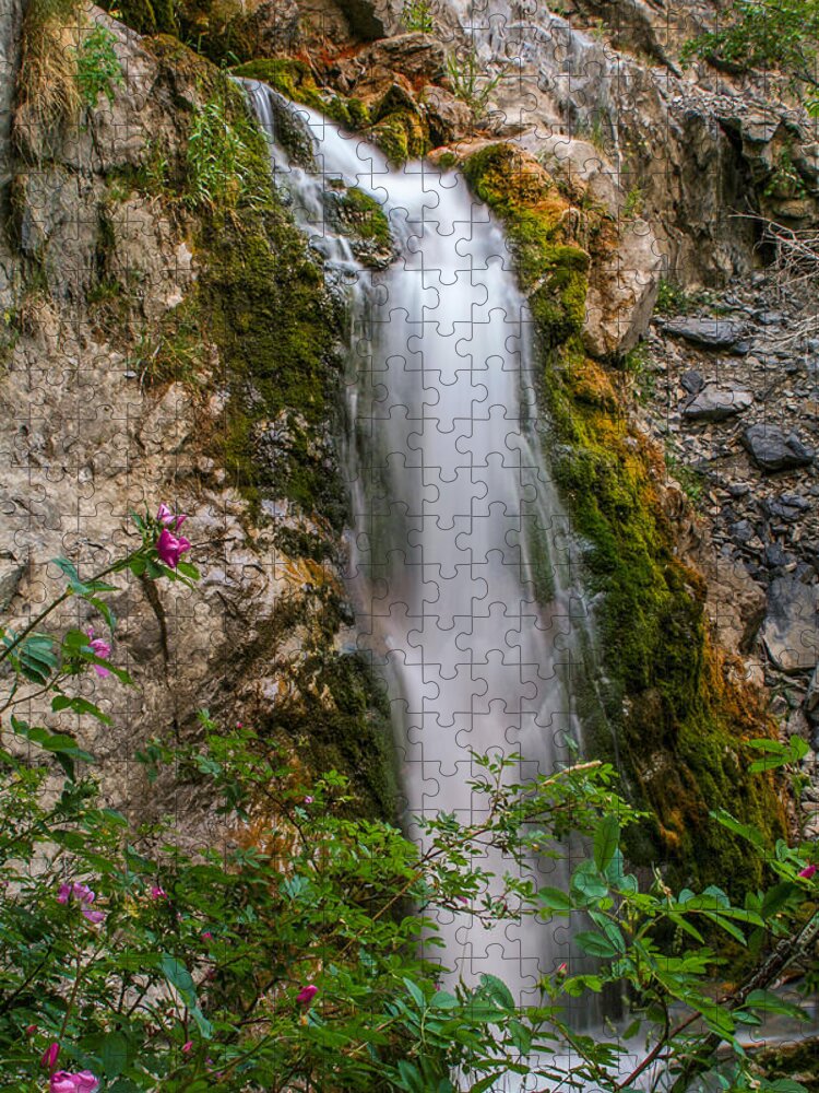 Gigimarie Jigsaw Puzzle featuring the photograph Secret Falls by Gina Gardner