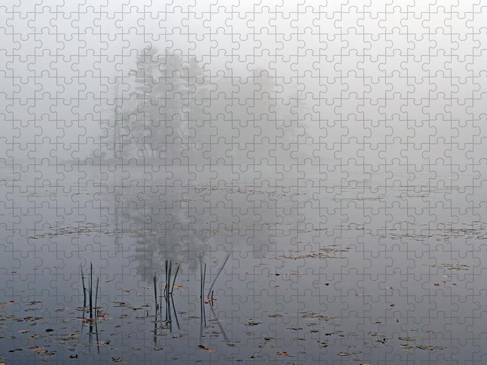 New England Jigsaw Puzzle featuring the photograph Secret Silence by Juergen Roth