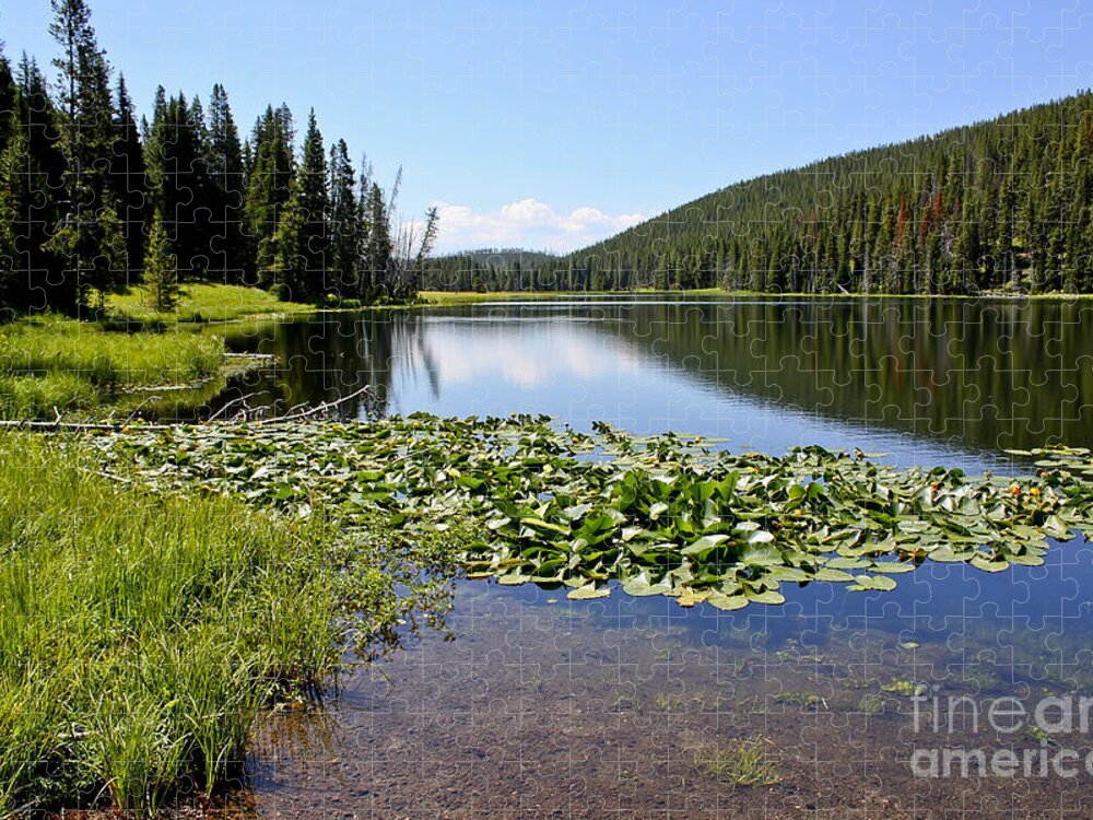 Lake Jigsaw Puzzle featuring the photograph Serenity in Yellowstone by Teresa Zieba