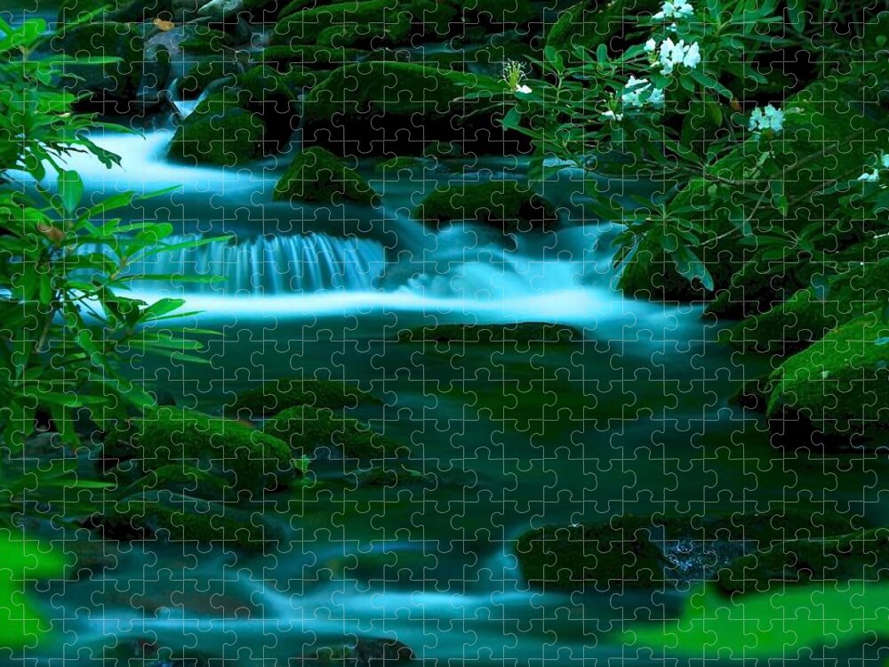 Art Prints Jigsaw Puzzle featuring the photograph Serenity by Nunweiler Photography