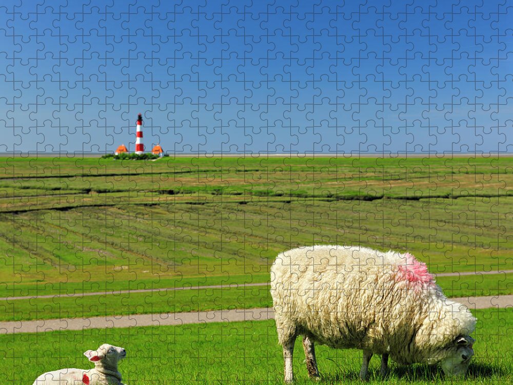 Grass Jigsaw Puzzle featuring the photograph Sheep And Lamb On Dike Against by Avtg