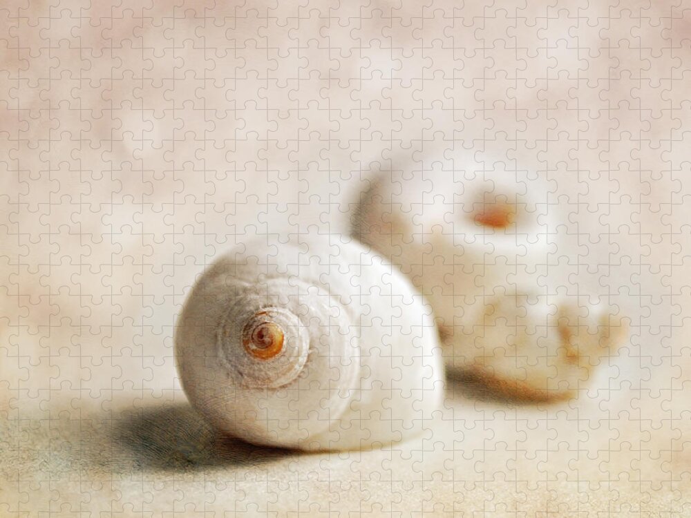 Shells Jigsaw Puzzle featuring the photograph Shells by Lyn Randle