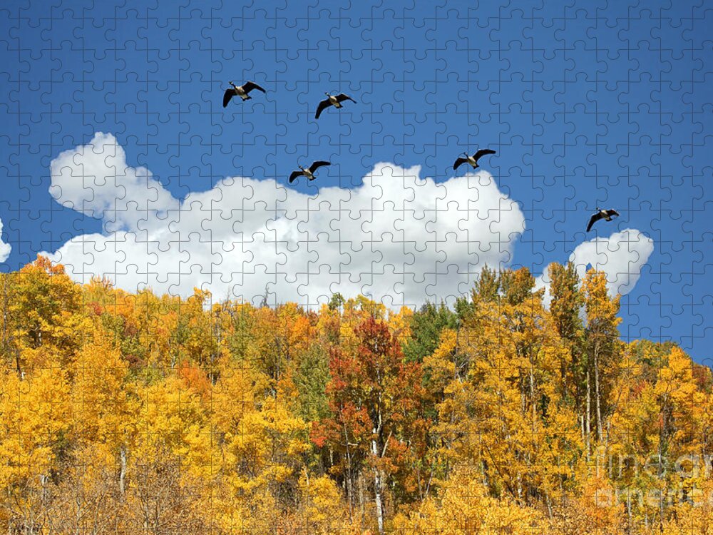 Colorado Jigsaw Puzzle featuring the photograph Signs of the Season by Bob Hislop