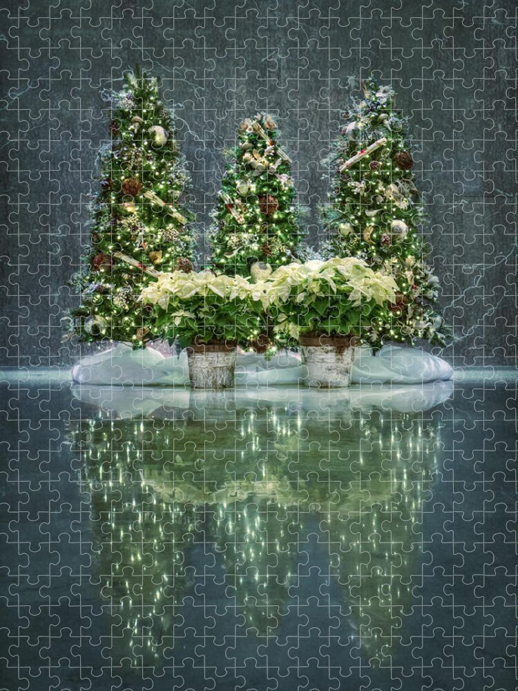 Christmas Jigsaw Puzzle featuring the photograph Silent Night by Evelina Kremsdorf