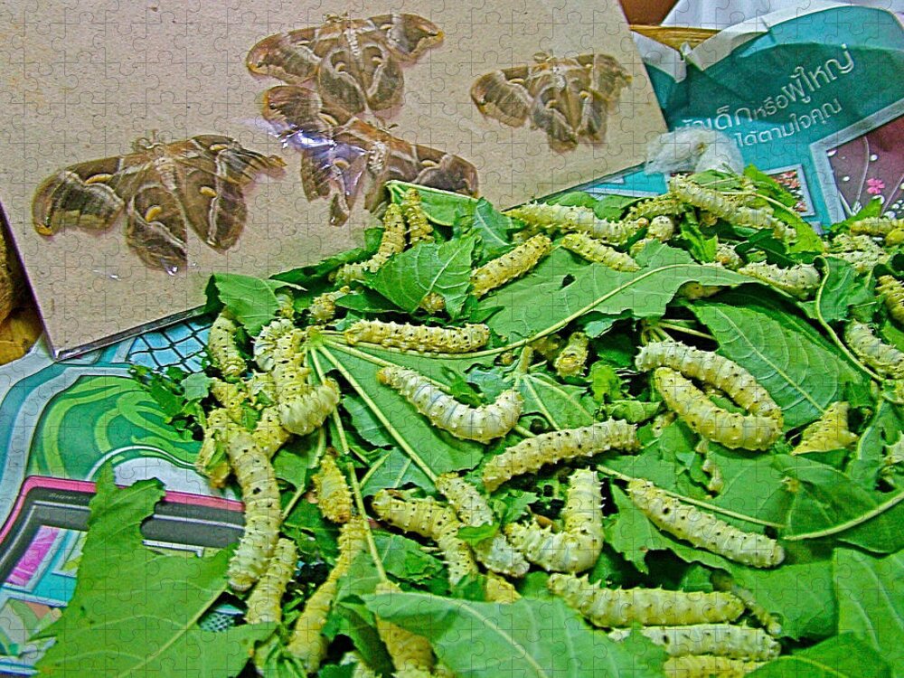 Silk Worms At Silk Factory And Store In Chiang Rai Jigsaw Puzzle featuring the photograph Silk Worms at Silk Factory and Store in Chiang Rai-Thailand by Ruth Hager