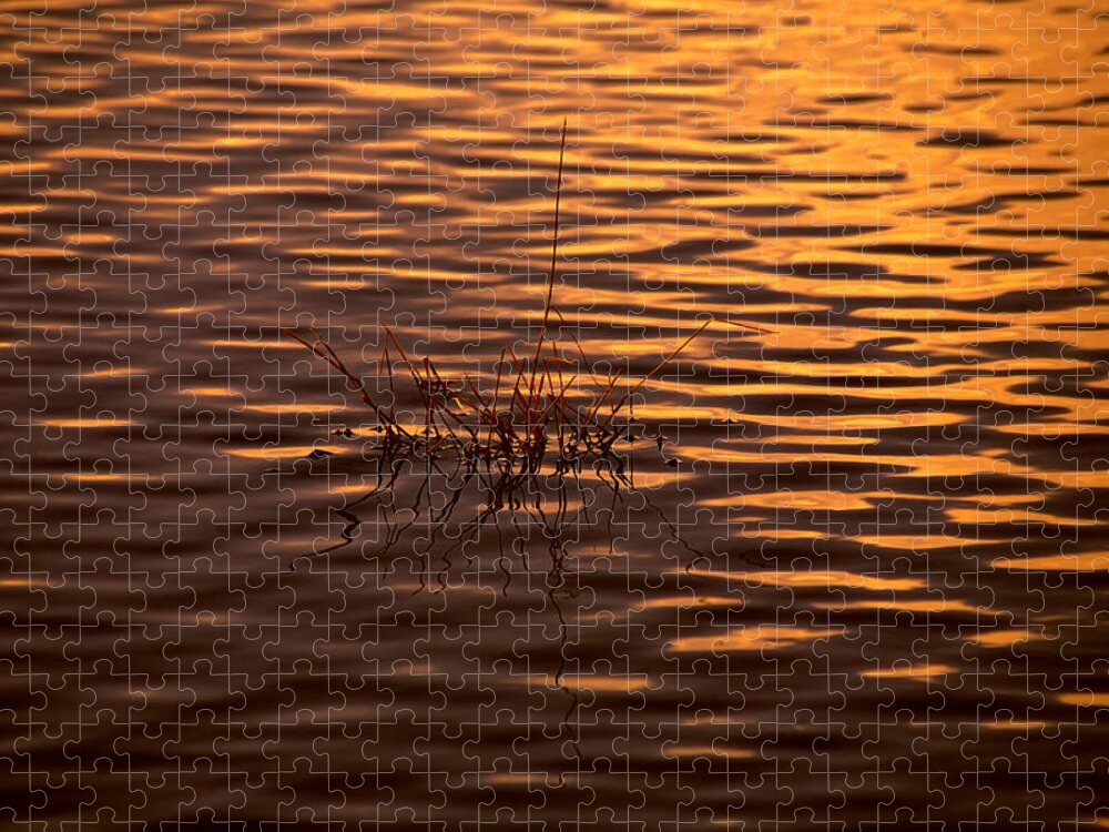 Rippled Water Jigsaw Puzzle featuring the photograph Simple Sunset by Bonnie Bruno