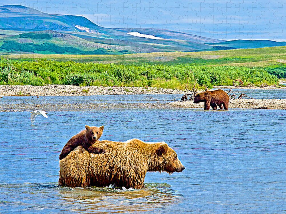 Six-month-old Grizzly Bear Cub Riding On Mom's Back To Cross Moraine River In Katmai National Preserve Jigsaw Puzzle featuring the photograph Six-month-old Cub Riding on Mom's Back to Cross Moraine River in Katmai National Preserve-Alaska by Ruth Hager