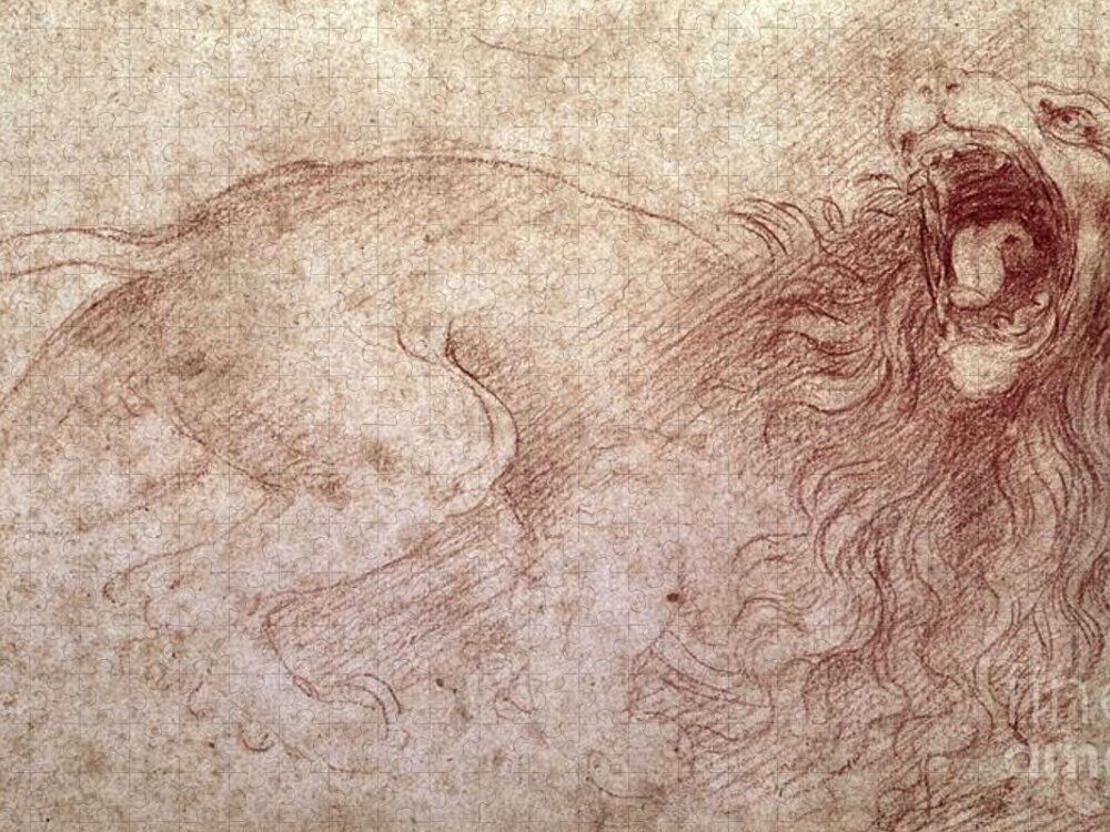 Leonardo Jigsaw Puzzle featuring the drawing Sketch of a roaring lion by Leonardo Da Vinci
