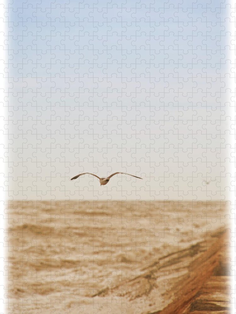 Seagull Jigsaw Puzzle featuring the photograph Sky Surfing by Max Mullins