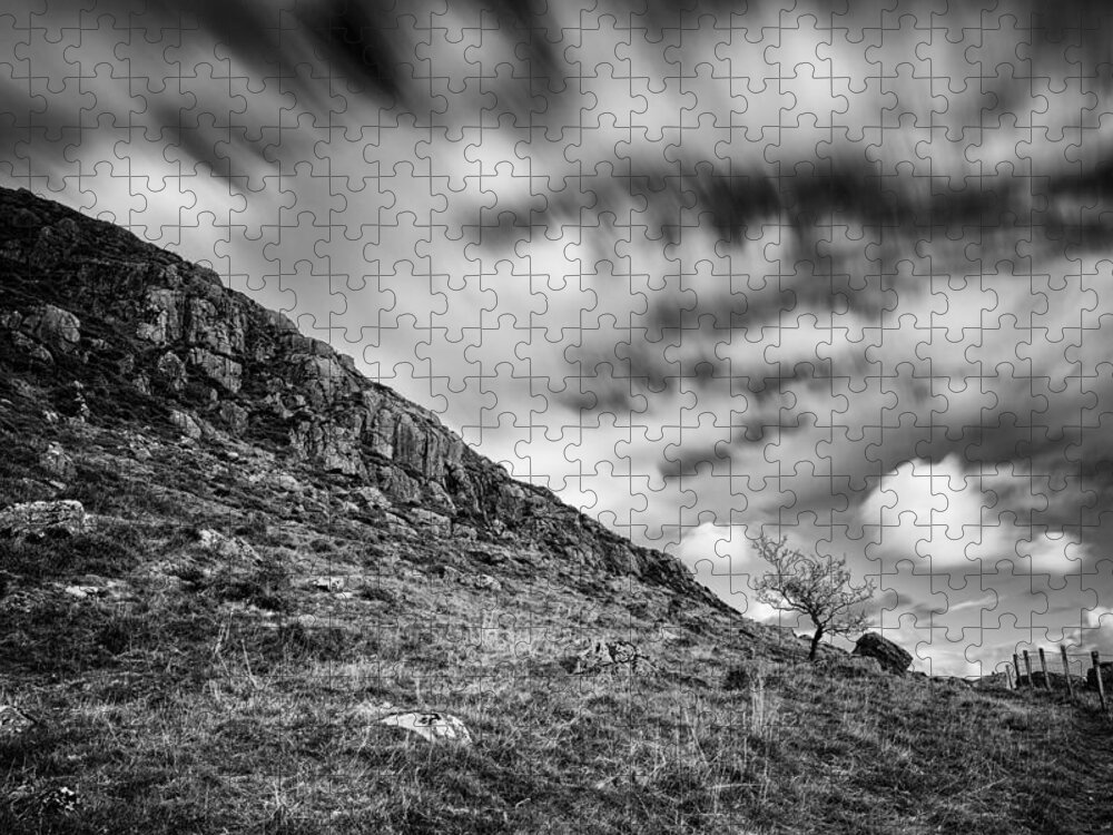 Slemish Jigsaw Puzzle featuring the photograph Slemish Tree by Nigel R Bell