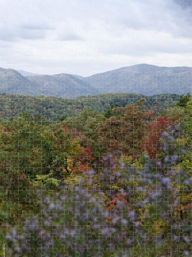 Gatlinburg Jigsaw Puzzle featuring the photograph Smoky Mountain Vista by Debbie Karnes