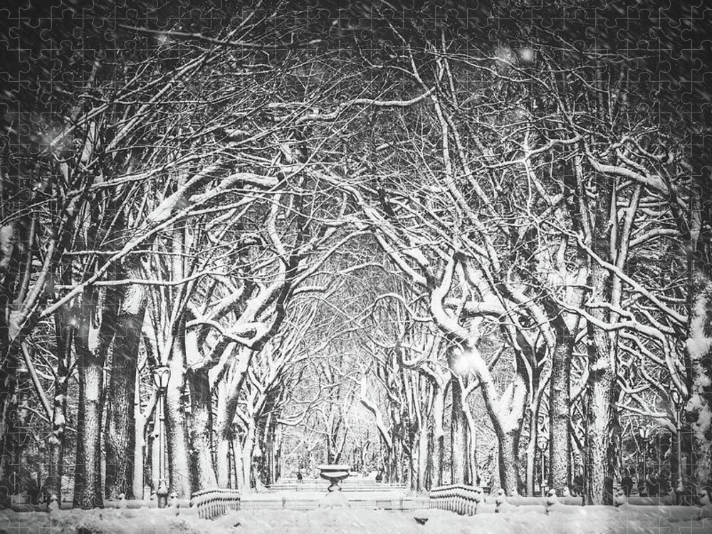 The Mall Jigsaw Puzzle featuring the photograph Snow Blizzard New York by Ferrantraite