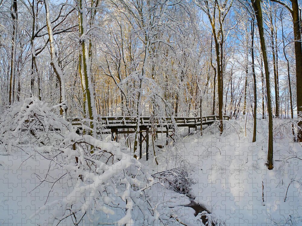 Snow Bridge Jigsaw Puzzle featuring the photograph Snow Bridge by Raymond Salani III