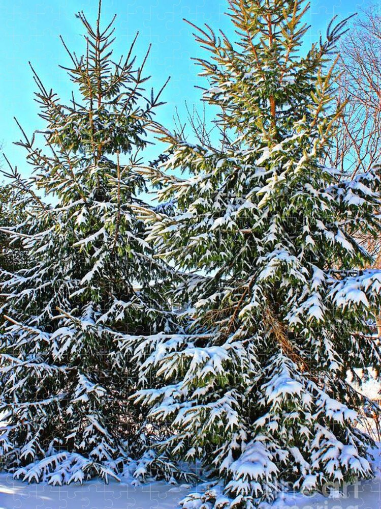 Pine Trees Jigsaw Puzzle featuring the photograph Snow Covered Pines by Judy Palkimas