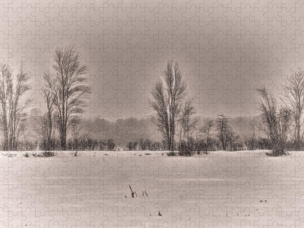 Snowfall Jigsaw Puzzle featuring the photograph Snow Falling on Bare Trees 2 by Beth Venner