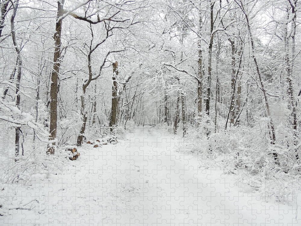 Snow In The Park Jigsaw Puzzle featuring the photograph Snow in the Park by Raymond Salani III