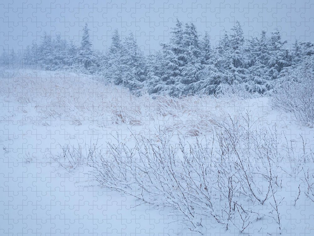 Alaska Jigsaw Puzzle featuring the photograph Snow on New Years Eve by Tim Newton