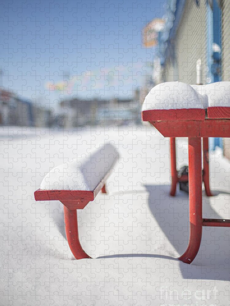 Coney Island Jigsaw Puzzle featuring the photograph Snows Of New York by Evelina Kremsdorf