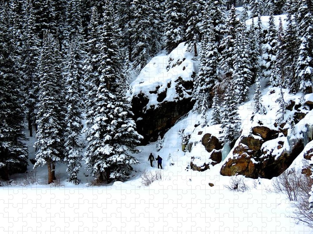 Snowshoe Jigsaw Puzzle featuring the photograph Snowshoers by Connor Beekman